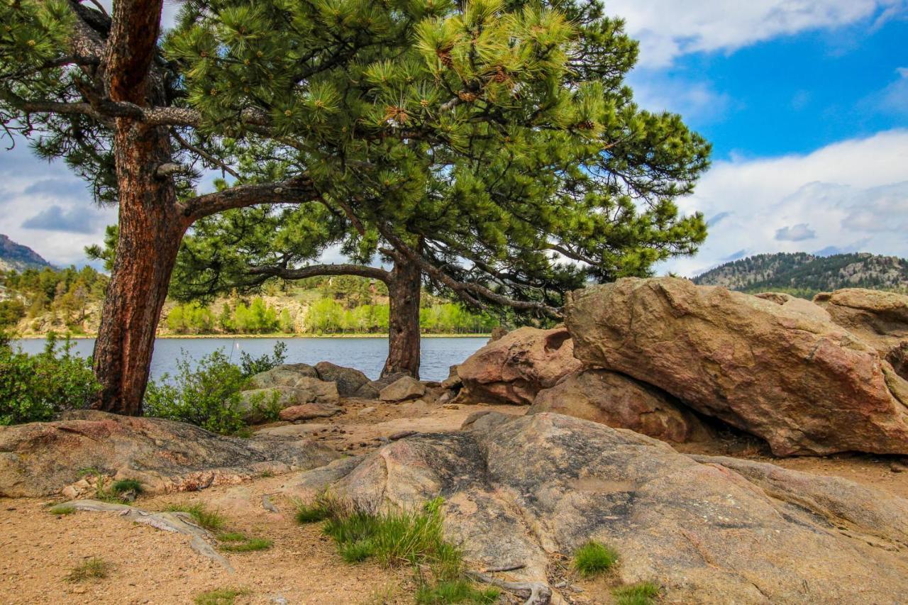 Twin Pines Cabin Estes Park Exteriör bild